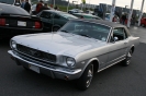 Mustangs in Iceland