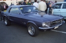 Mustangs in Iceland