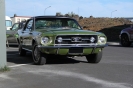 Mustangs in Iceland