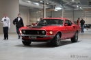 Mustangs in Iceland