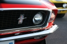 Mustangs in Iceland