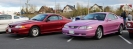 Mustangs in Iceland