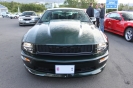 Mustangs in Iceland