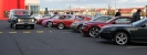 Mustangs in Iceland