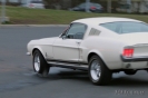 Mustangs in Iceland