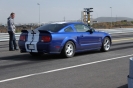 Mustangs in Iceland