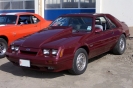 Mustangs in Iceland