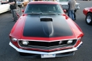 Mustangs in Iceland