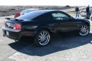 Mustangs in Iceland