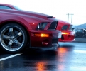 Mustangs in Iceland