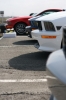 Mustangs in Iceland