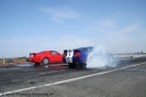 Mustangs in Iceland