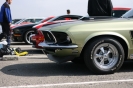 Mustangs in Iceland