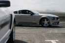 Mustangs in Iceland