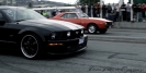 Mustangs in Iceland