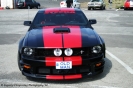 Mustangs in Iceland