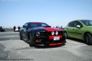 Mustangs in Iceland