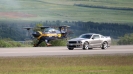 Mustangs in Iceland