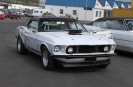 Mustangs in Iceland