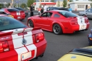 Mustangs in Iceland