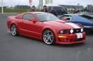 Mustangs in Iceland