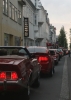 Mustangs in Iceland