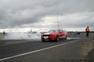 Mustangs in Iceland