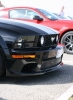 Mustangs in Iceland