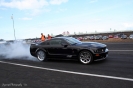 Mustangs in Iceland