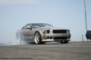 Mustangs in Iceland