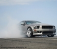 Mustangs in Iceland