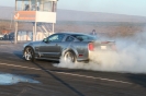 Mustangs in Iceland