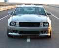 Mustangs in Iceland