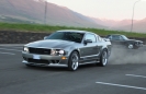 Mustangs in Iceland