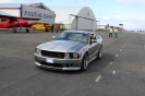 Mustangs in Iceland