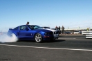 Mustangs in Iceland