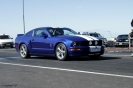 Mustangs in Iceland