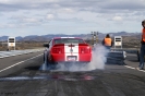 Mustangs in Iceland