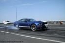 Mustangs in Iceland