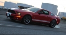 Mustangs in Iceland