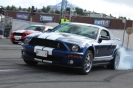 Mustangs in Iceland