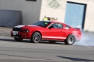 Mustangs in Iceland