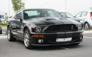 Mustangs in Iceland