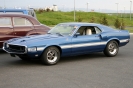 Mustangs in Iceland