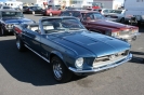 Mustangs in Iceland