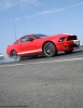 Mustangs in Iceland