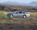 Mustangs in Iceland