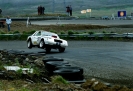 Mustangs in Iceland