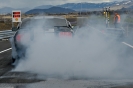 Mustangs in Iceland