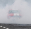 Mustangs in Iceland